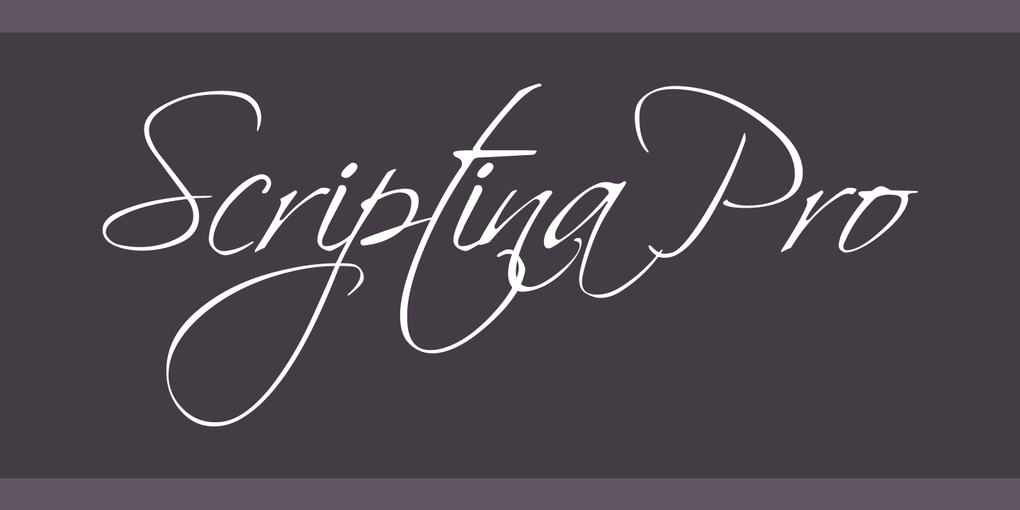 Beispiel einer Scriptina Pro-Schriftart